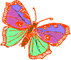 vlinder2.gif